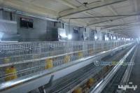 供应育雏升温锅炉 农副产品领域的可靠选择