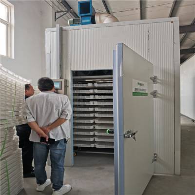 农副产品香菇干燥设备 大型香菇干燥机的优势与应用