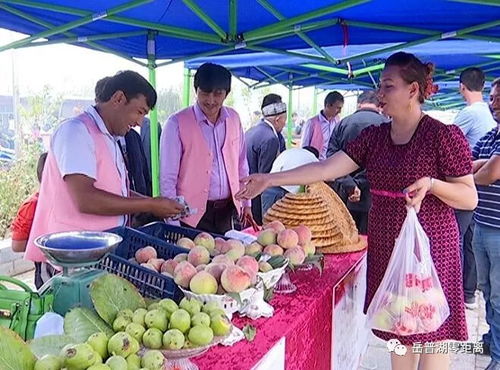 农副产品促销会 打通产销对接，助力脱贫攻坚的坚实桥梁