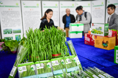 大湾区“菜篮子”产品清远配送中心开业，农副产品“一站式”服务助力区域融合