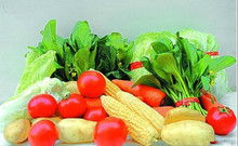 农副产品 连接土地与餐桌的自然馈赠