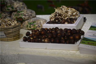 携手丰台，共绘乡村振兴新画卷——丰台区扶贫协作地区农副产品推介活动纪实