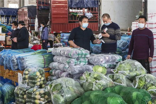 郭锋走访温州农副产品批发交易市场 复工复产中的“菜篮子”保卫战