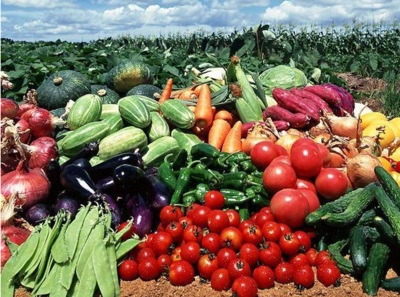 农副产品价格低廉却无人收购的原因探析